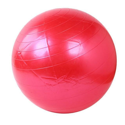 Bodyvine Yoga Ball